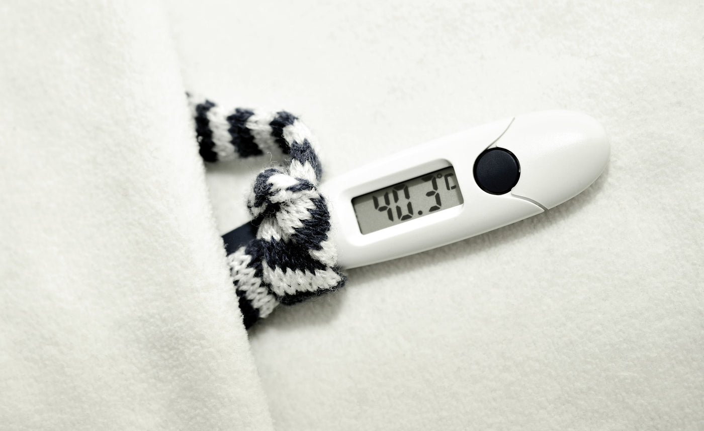 With the 2020 Flu Season in Full Swing, Here are 3 Things That Can Boost Your Immune System