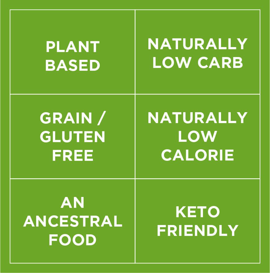 6-Pack Variety Sampler: Ready Noodle Organic Fettucine, Ready Noodle Organic Rice & Ready Noodle Organic Spaghetti