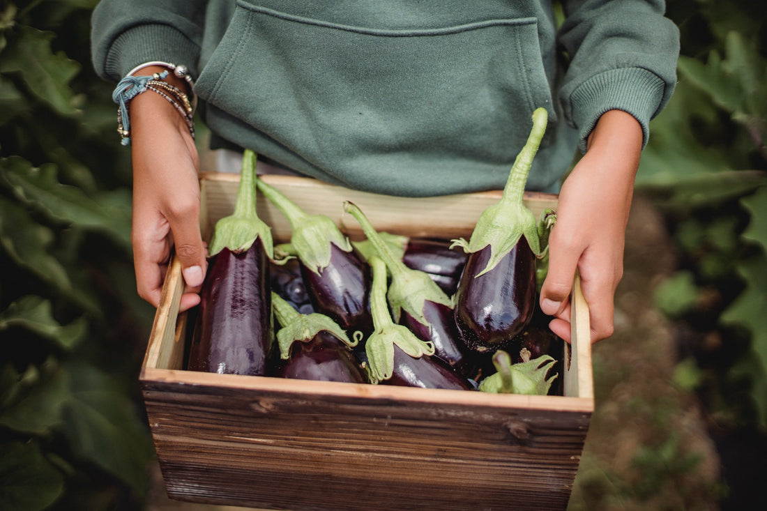 Nightshade Veggies: Are Tomatoes, Potatoes, Peppers & Eggplant Safe For Gut Issues?