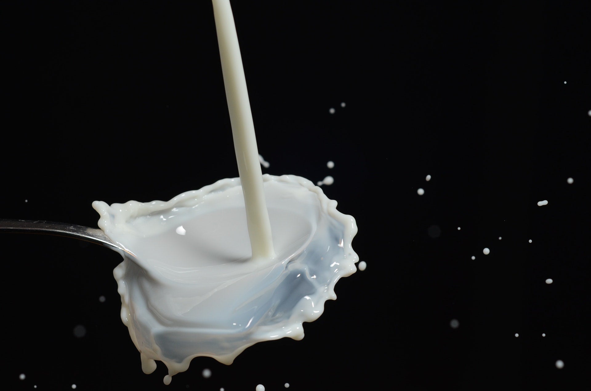 Organic Milk: Does It Do A Body Good?