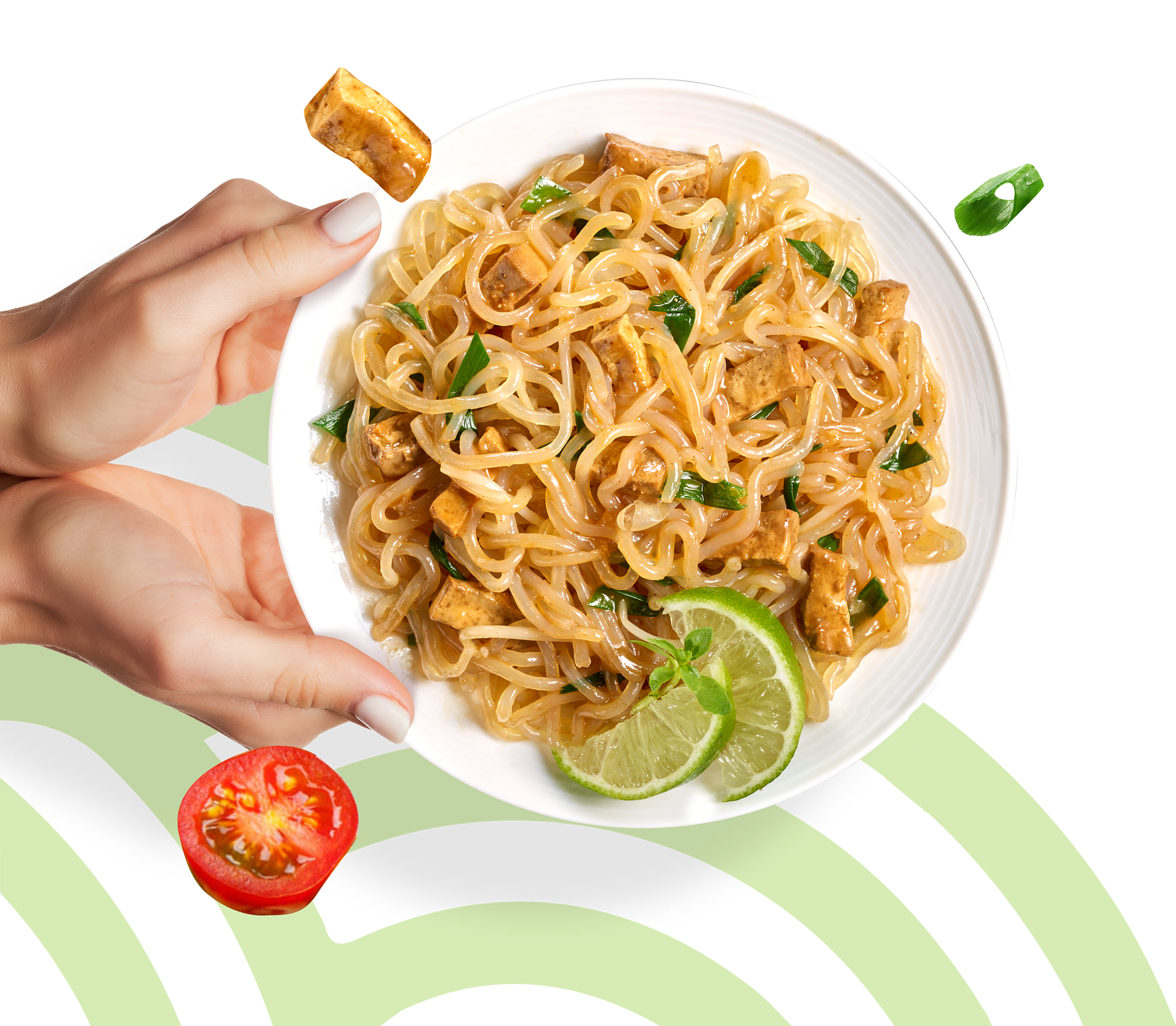 I migliori noodles konjac magri all'ingrosso Low Carb miracolo
