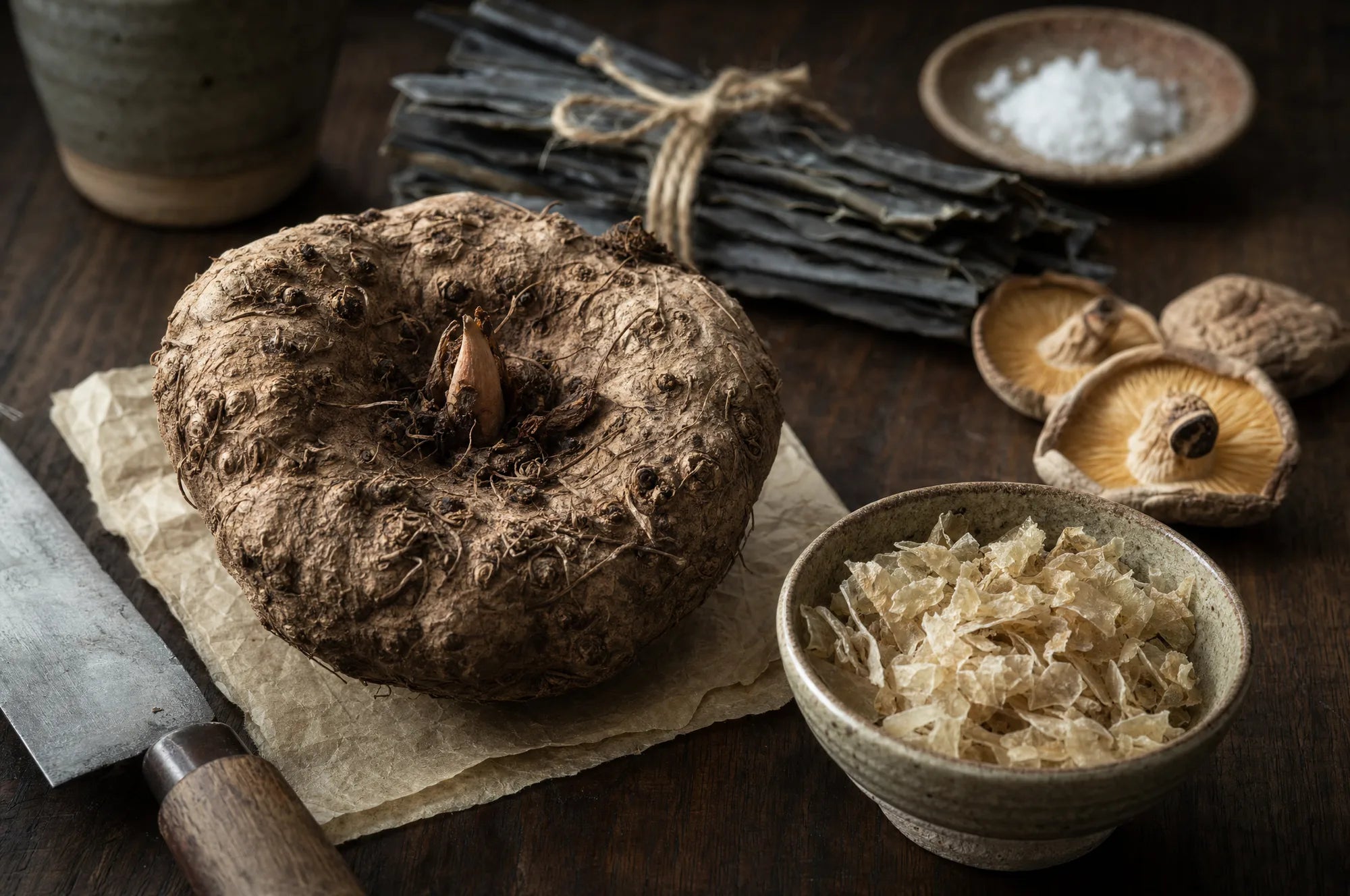 The konjac plant — the root Miracle Noodle is made from